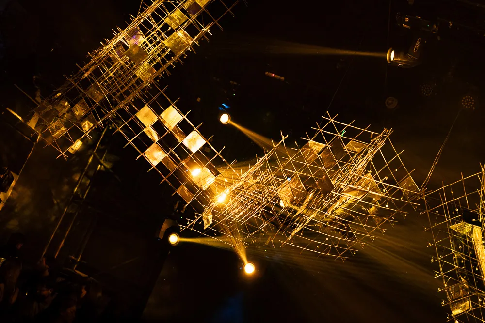 Manglar XXV